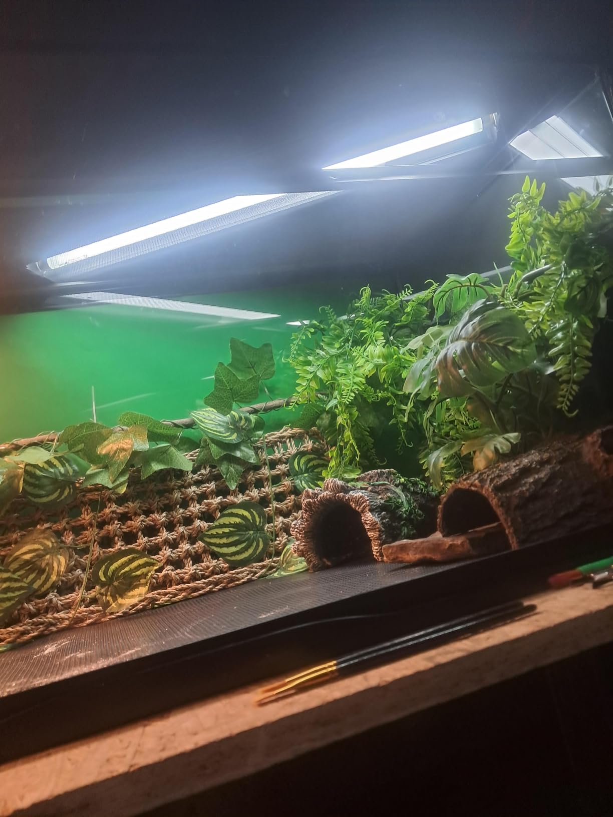 T5 UVB Reptile Light Fixture HO UVB Bulb Lighting Combo Kit, 10.0 UVB Light for Reptiles Terrarium Hood with 8W Reptile Light Bar UVA UVB Desert Lamp for Bearded Dragon Turtle Tank, 12 Inch customer photo 1