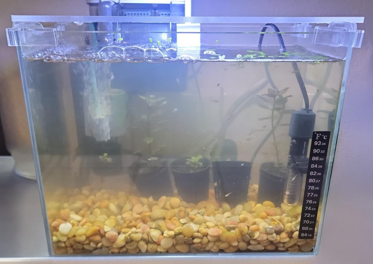 Vimvins 3 Gallon Glass Small Fish Tank, Betta Fish Tank Starter Kit with Filter, Lights,Lid. customer photo 2