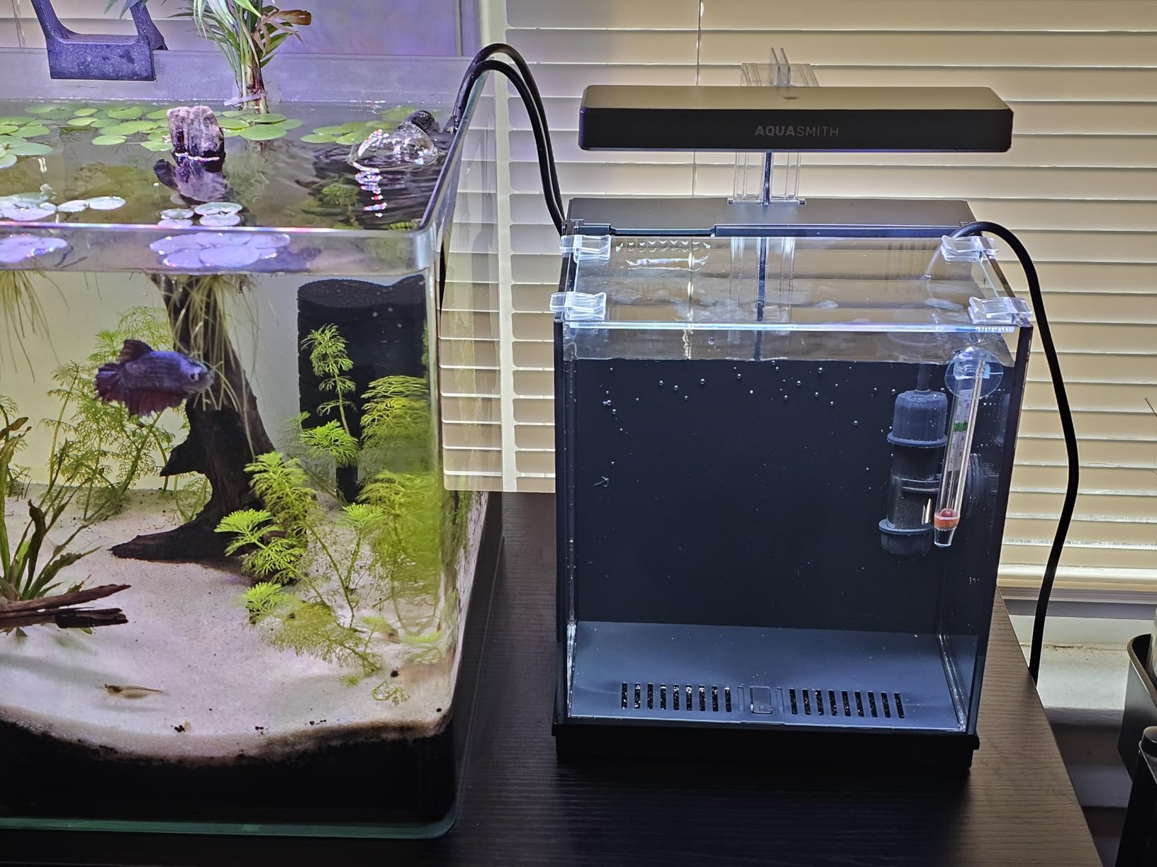 AQUASMITH 2-Gallon All-in-One Fish Tank – Silent Pump, 3-Stage Filtration & Easy Water Change, Perfect Self-Care Betta Aquarium Kit for Kids & Beginners (White customer photo 2