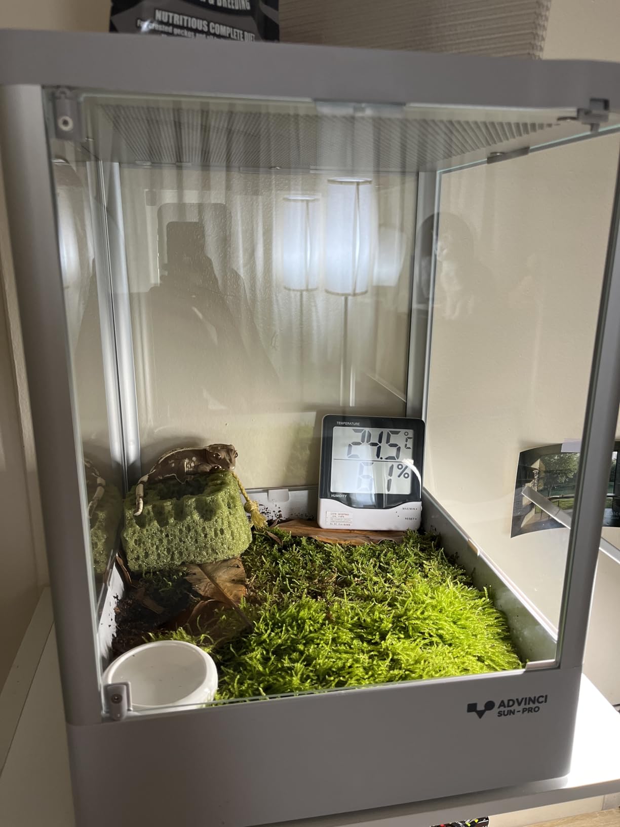 Reptile Terrarium 18