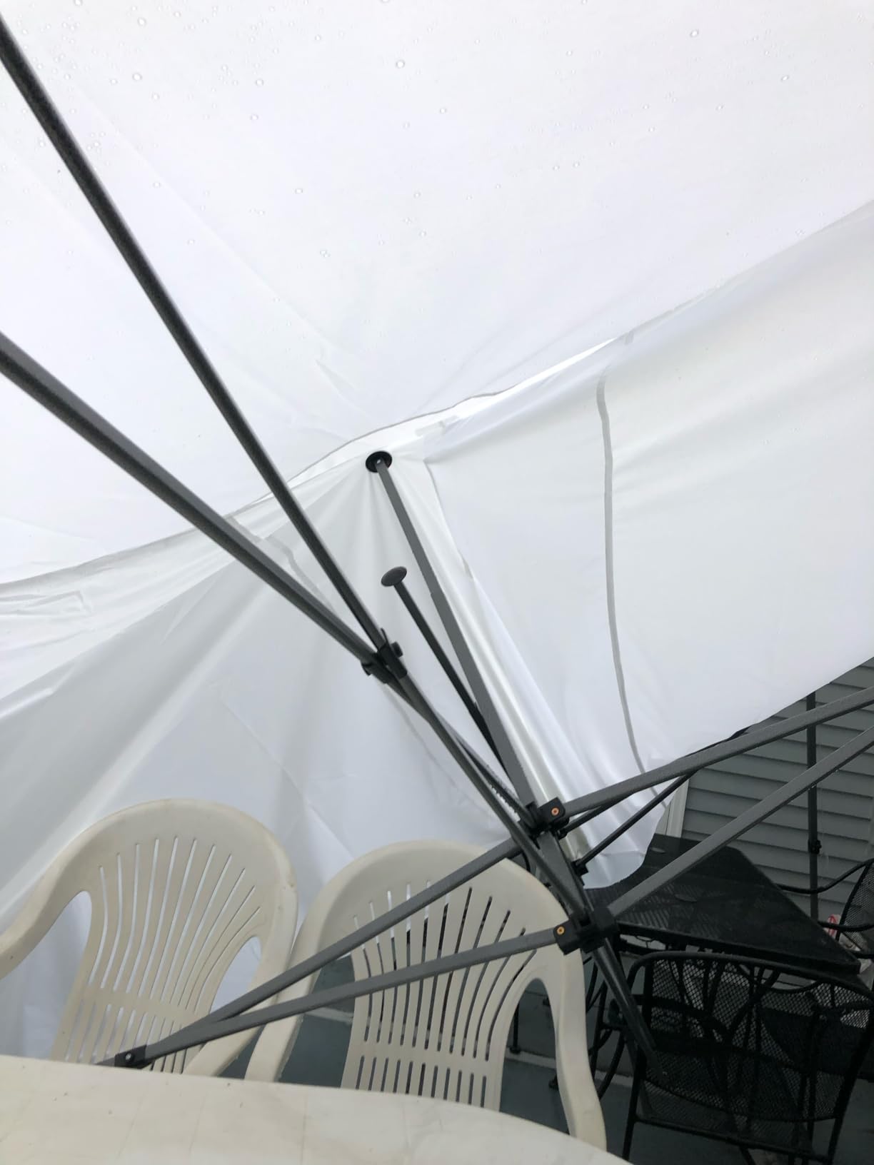 COBIZI 10x10 Heavy Duty Pop Up Canopy Tent with 4 Sidewalls, Black customer photo 1