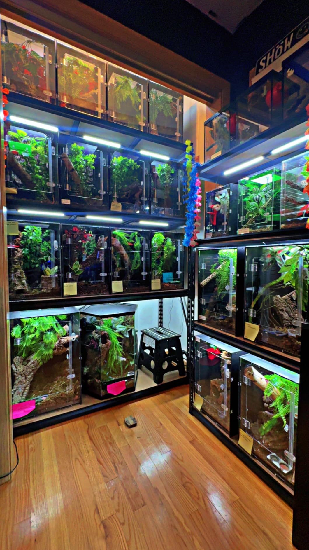 16x16x24 Black PVC Reptile Tank for Adult Reptiles, Front Opening customer photo 1