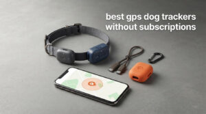 best gps dog trackers without subscriptions