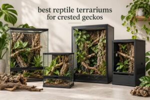best reptile terrariums for crested geckos